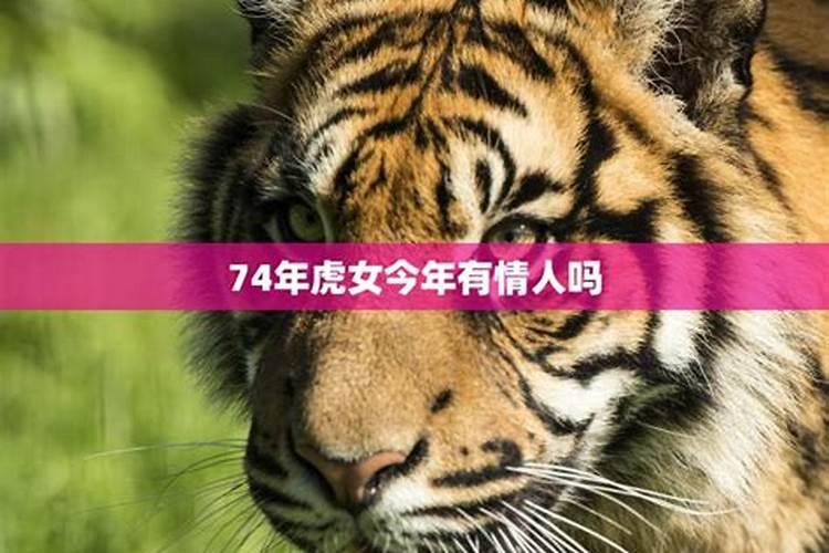 1962年属虎2024年运势及运程男女性 62虎的今年每月运势