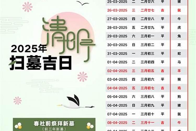 今年清明能否扫墓