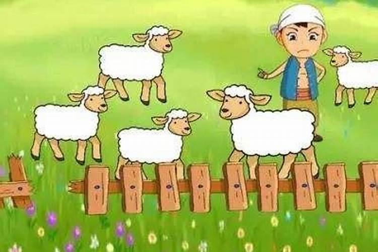 单身女梦见放羊是什么意思
