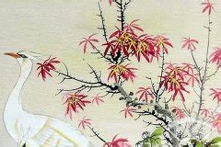 算命中的“四柱”是什么