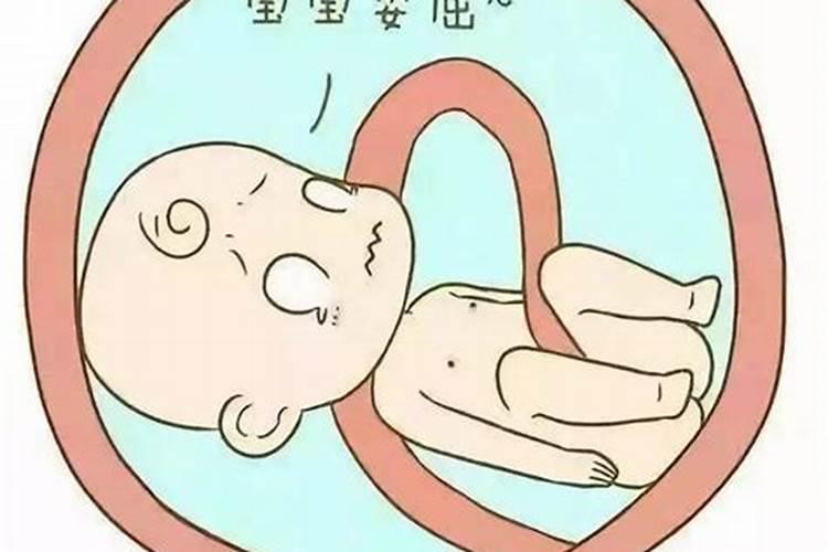 立春节气的由来 立春介绍
