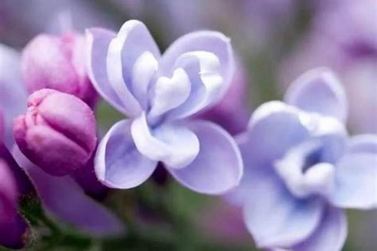 端午节的由来与习俗30字