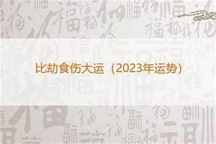 71年属猪人一生运程？