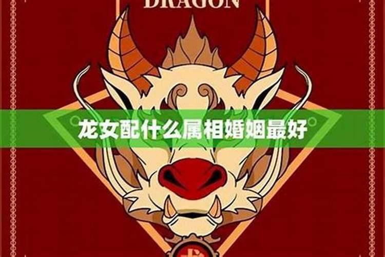 属龙女和什么属相最配