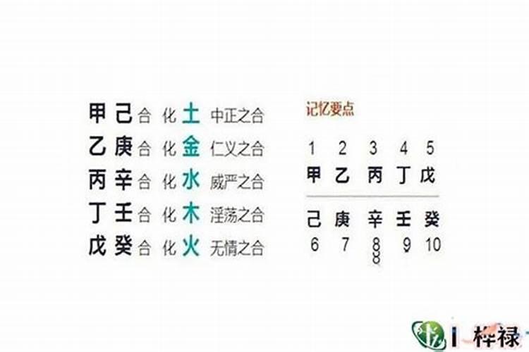 八字一个卯二个亥和谁