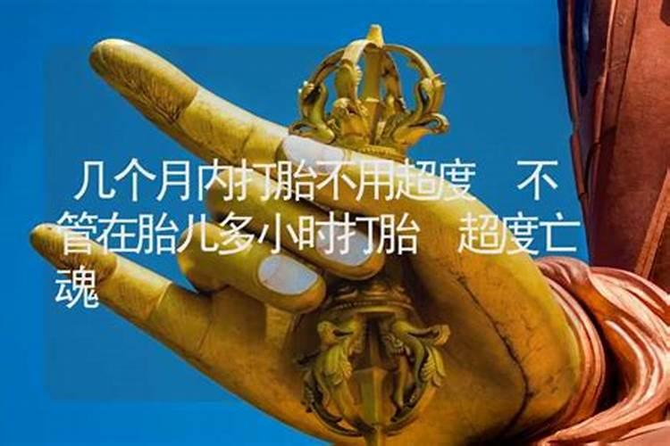 狗狗为什么会梦见猫和老鼠