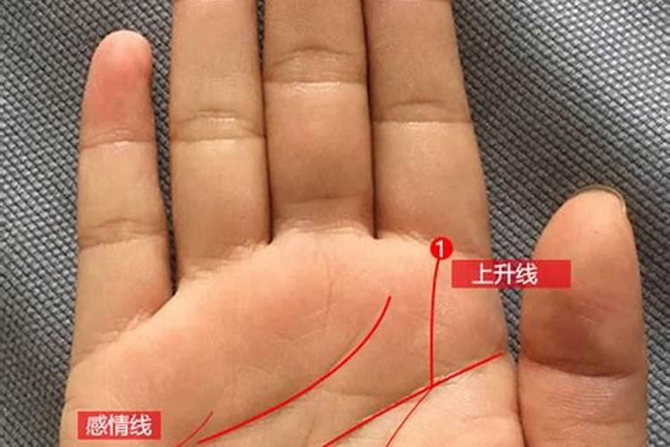 巨匠详解:属羊2023年全年运势运程及每月运程？