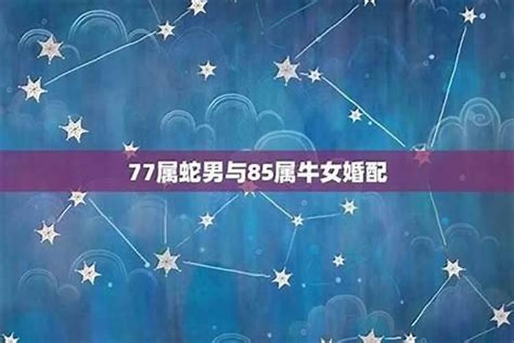 74年属虎和77年属蛇的婚配,1974年属虎与1977年属蛇婚姻合吗百度...