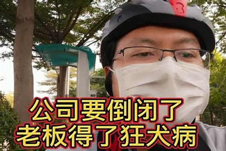 71年猪人2025年运势