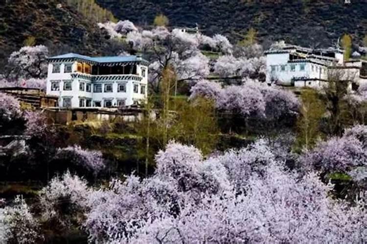 腊月二十五可以打扫吗 腊月二十五 家家扫尘土