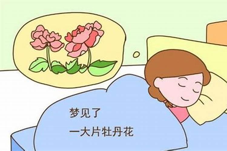 梦到来大姨妈预示什么