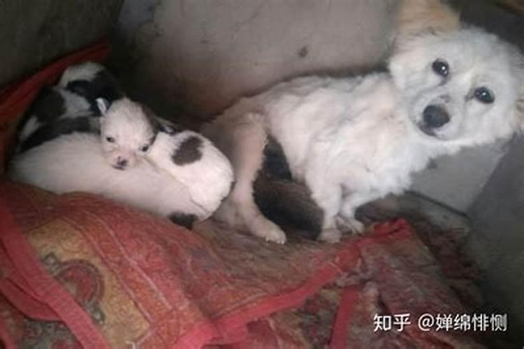 破军事业突破是什么意思