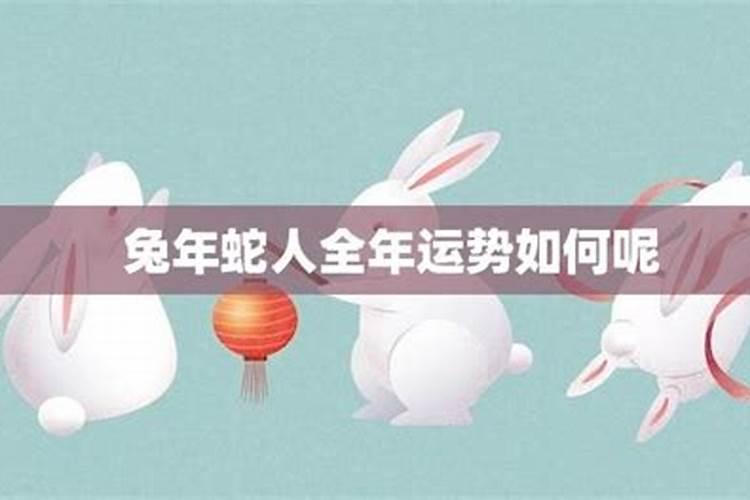 87年2025年属兔人的全年运势