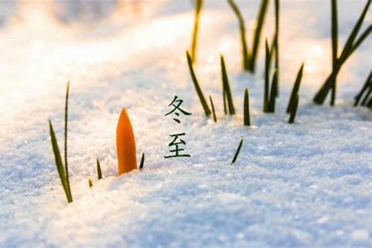 今年冬至是哪一天？