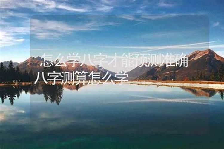梦见别人赶马车