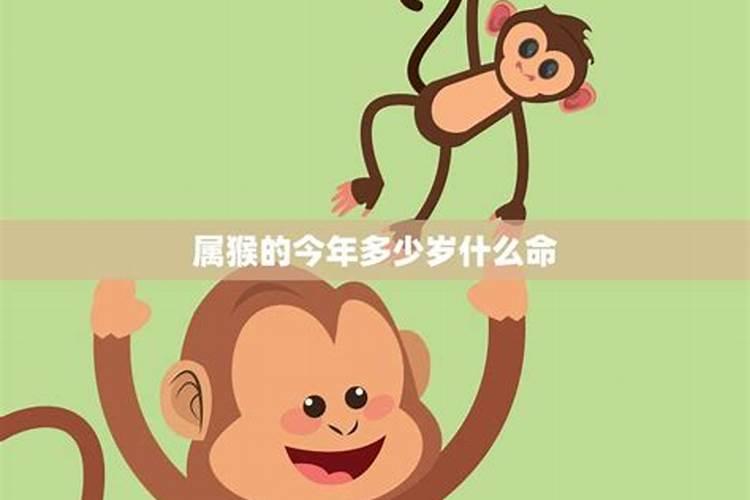 属蛇人2025年犯太岁的化解方法