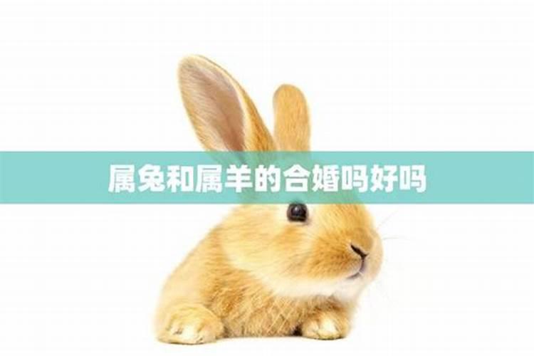 清明节的节日与来历