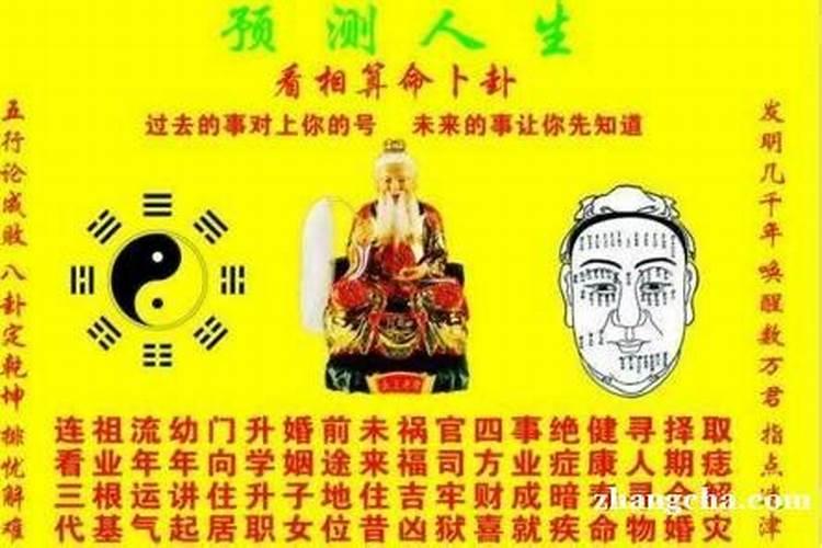 属蛇女孩哪个时辰出生生于辰时贵人相助？