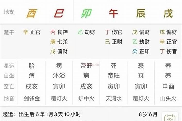 国际八字排盘的标准与应用解析