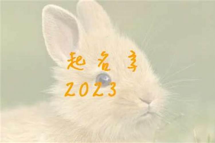 属兔女孩子起名字 属兔女孩子取什么名字好听有内涵