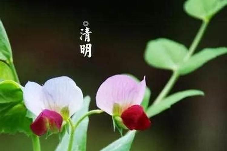1973年属牛的是什么命 未来十年运程？