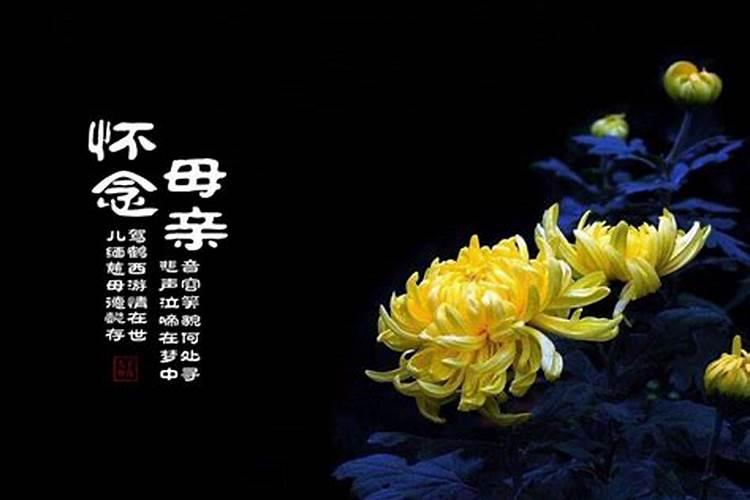 老人去世有哪些忌日