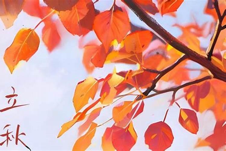 立秋是二十四节气中的第几个节气？