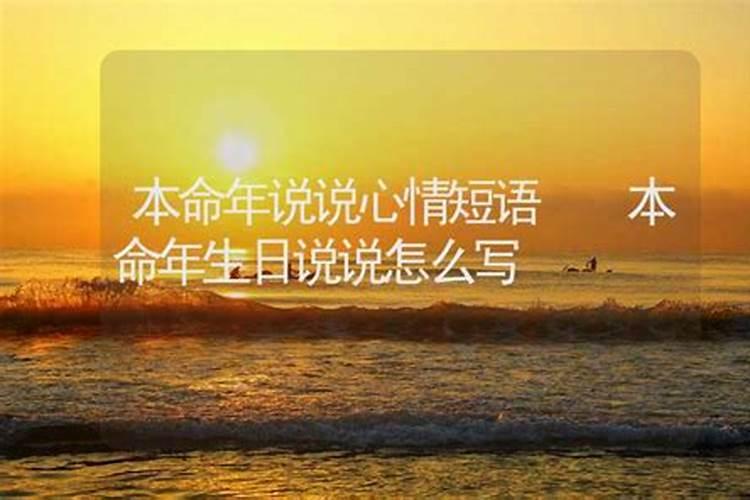 本命年说说心情短语