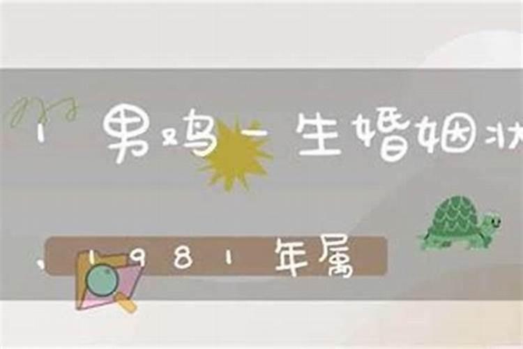 81年属鸡人一生三大坎