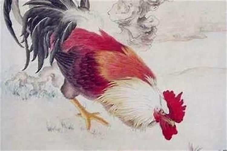 1981年属鸡男2025年运势及运程