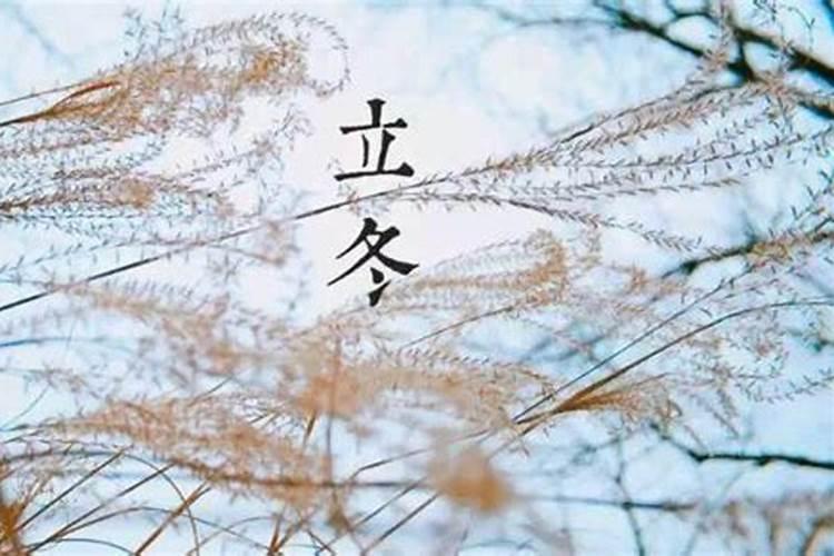关于立冬的风俗、相关知识