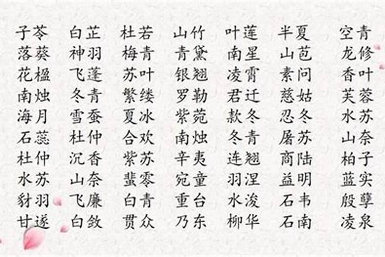 生肖鸡1969年2025年运势如何 生肖鸡1969年2025年全年运势