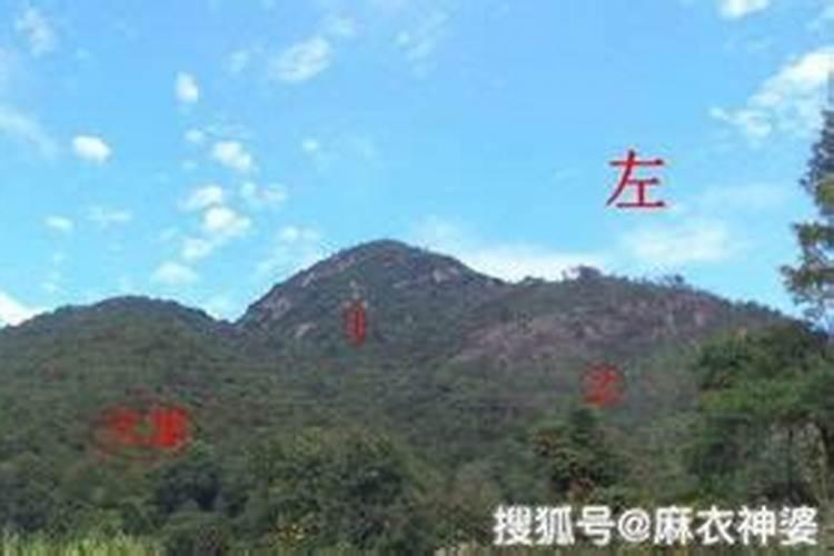 梦见骑着一匹白马,而且它还能听懂我说话,还能说话,好像记得是一匹雌的...