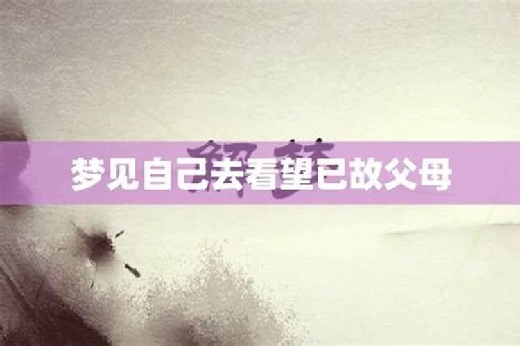 梦见很多猫来家里