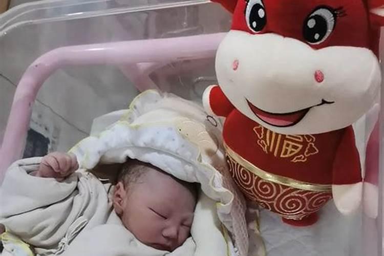 牛宝宝哪个时辰出生最好,2021属牛哪个时辰出生最好 牛年几点出生...