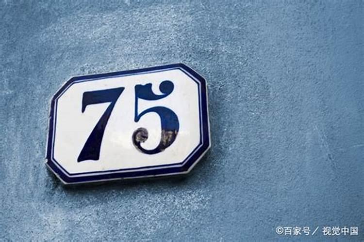 75属兔哪年运势最好