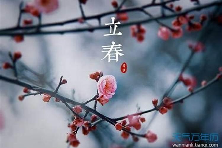 2025年立春是几月几日