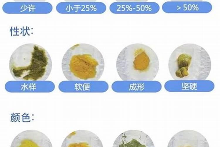 梦见宝宝拉便便的预兆