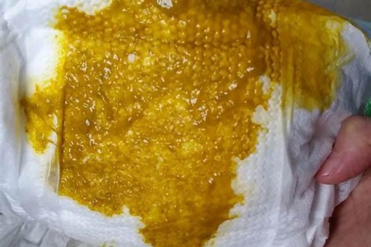梦见儿子在床上拉黄色便便的预兆