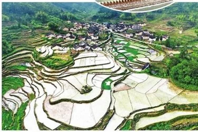 60年一遇!今年端午三大特点,有何特别？