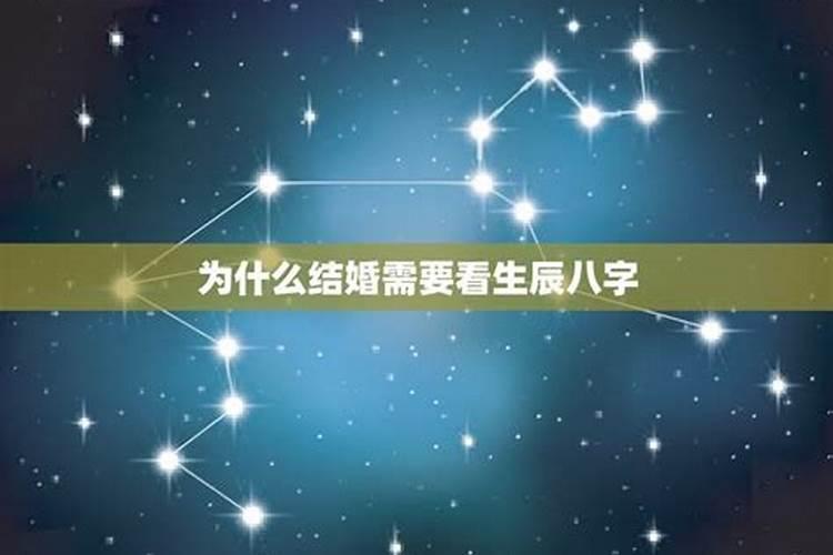 梦见被乌龟追咬的预兆