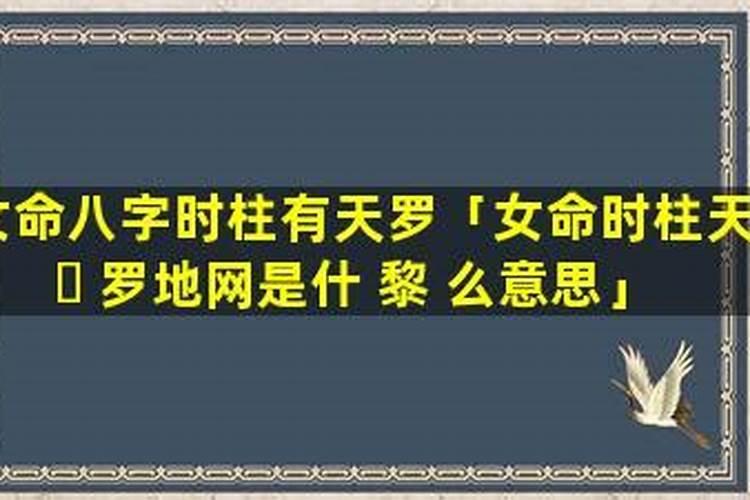 八字中的时柱是天乙 太极 驿马 童子 地网 孤鸾是什么意思