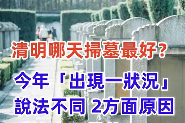 梦到老鼠泛滥成灾有什么预兆
