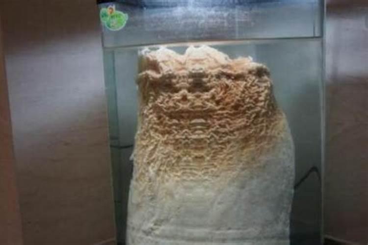 太岁的方位就是二黑巨门星病符星的方位吗？