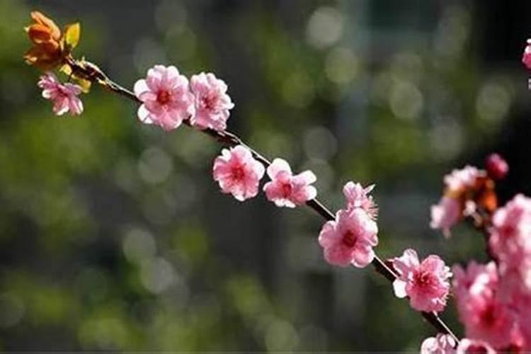 中国元宵节的由来和风俗