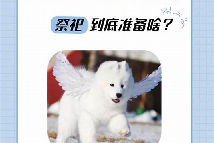 烧纸的时候狗老叫是什么意思