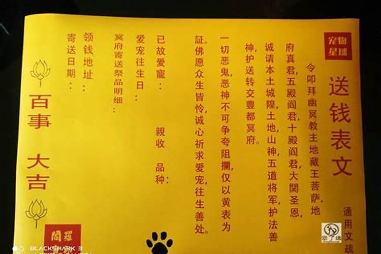 为什么上次去给亲人烧纸有狗叫,回来就是老是做梦做到她