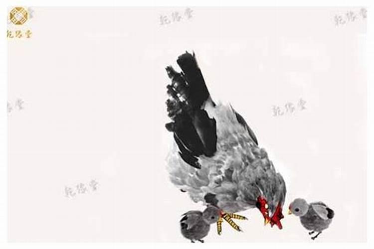 梦见了一大片绿色的水的预兆