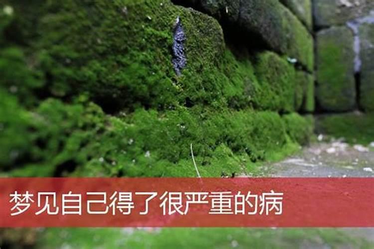 梦见自己的弟弟生了很严重的病的预兆