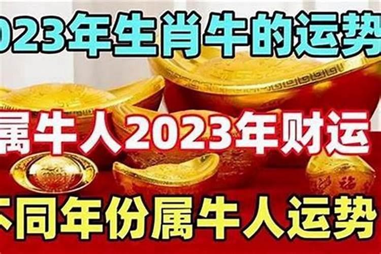 本命年的人财运如何